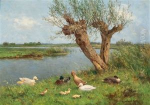 Family Of Ducks By Two Knotted Willows Near The Water's Edge