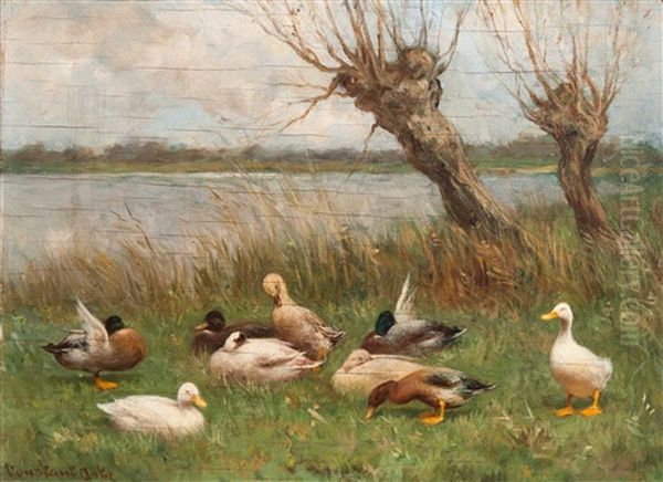 Ducks By The Water's Edge - view 1