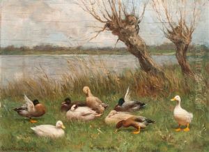 Ducks By The Water's Edge
