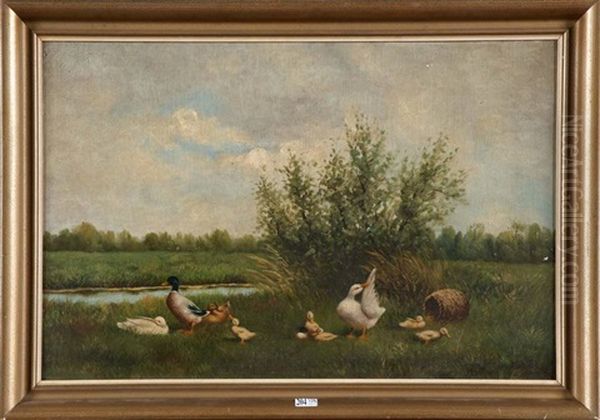 Canards Au Bord De L'eau - view 1