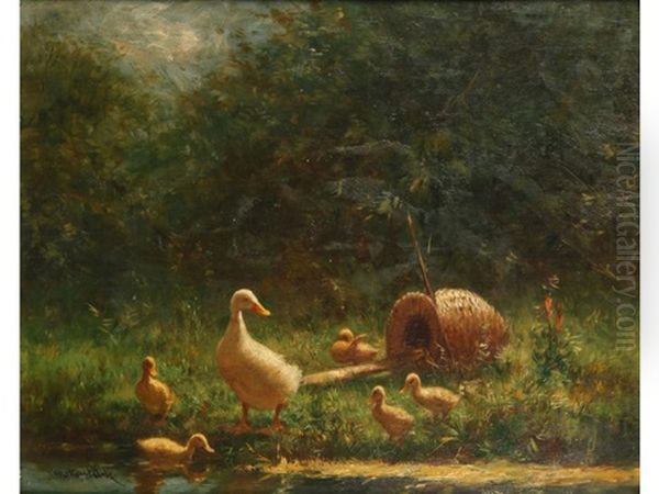 A Duck And Ducklings On A River Bank - view 1