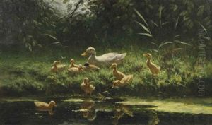 Ducklings On A Sunlit Riverbank