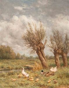 Family Of Ducks By The Waterside by David Adolph Constant Artz