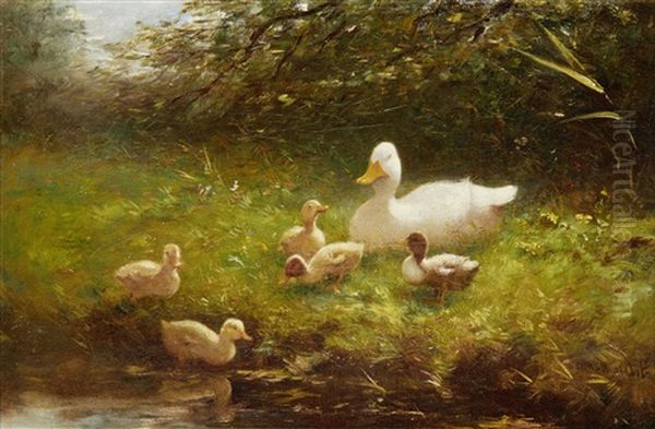 A Duck And Ducklings On A River Bank - view 1