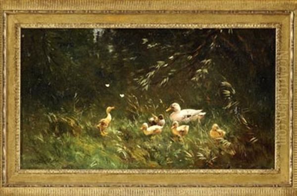 Entenfamilie Auf Einer Wiese Mit Einer Jungen, Nach Schmetterlingen Aufschauenden Ente - view 1