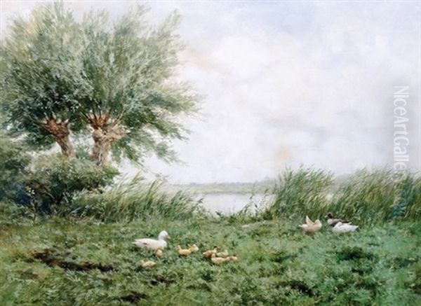 Ducks And Ducklings - view 1