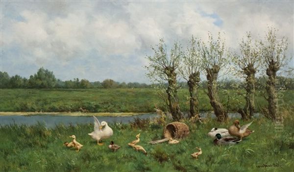 Ducks By The Water's Edge - view 1
