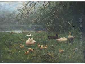 Ducks And Ducklings By A Pool