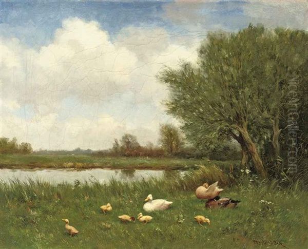 Ducks And Ducklings On A River Bank - view 1