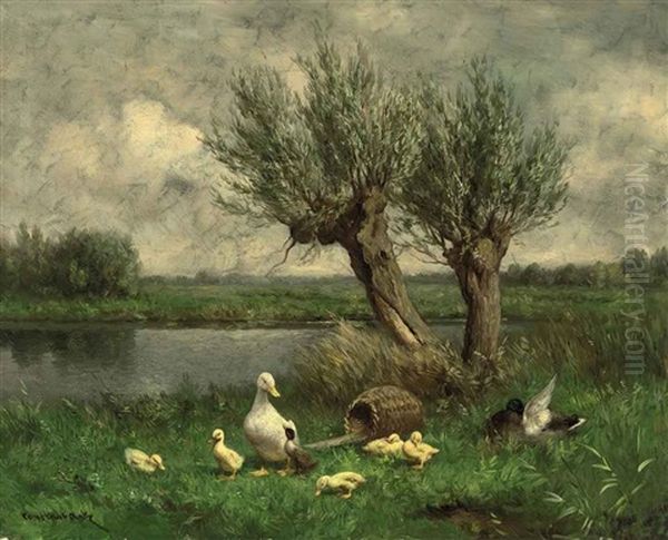 Ducks Near Two Willows On The Bank Of A Stream - view 1