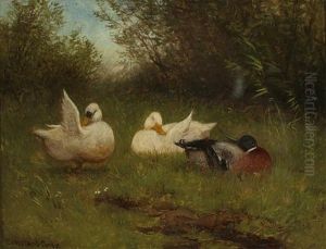 Preening Ducks by David Adolph Constant Artz