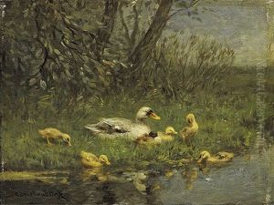 Entenmutter Am Teich Entenmutter Am Teich