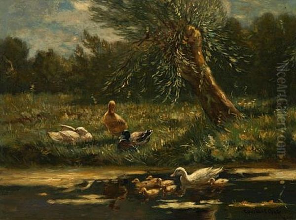 A Family Of Ducks Along The Riverbank - view 1