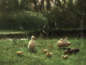 Ducks In A Sunlit Meadow by David Adolph Constant Artz