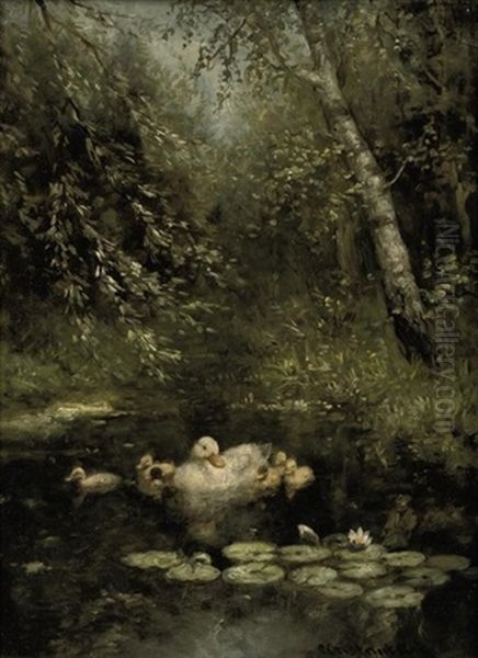 A Swim In The Pond - view 1