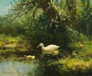 Ente Mit Ihren Kuken Am Ufer Ente Mit Ihren Kuken Am Ufer