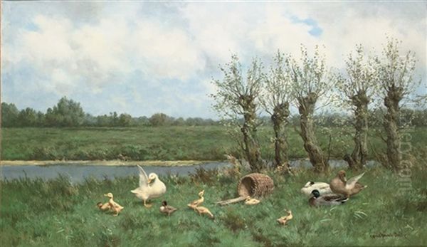 Ducks On The Waterfront - view 1
