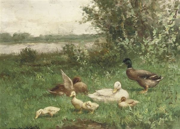 Ducks Near The Waterside - view 1