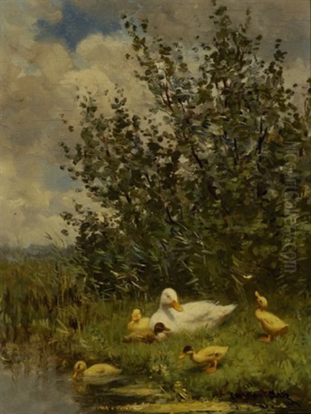 Duck With Five Chicks On The Water's Edge - view 1