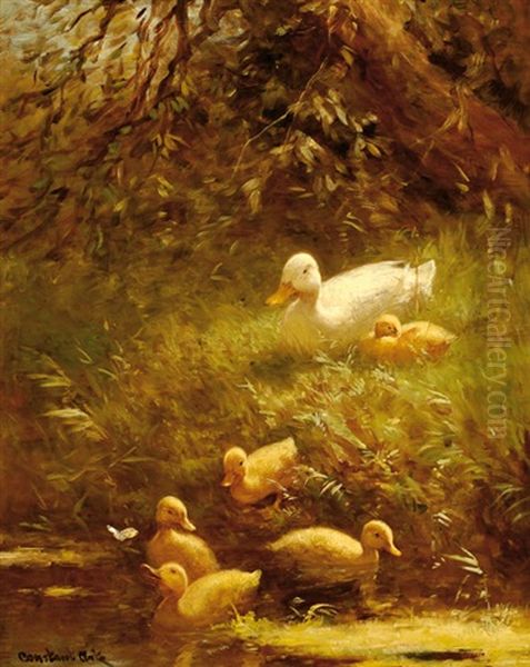 Duck With Five Chicks By The Waterside - view 1