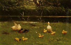 Ducks And Chicks By The Waterside Ducks And Chicks By The Waterside
