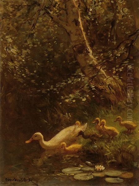 Family Of Ducks By The Water - view 1