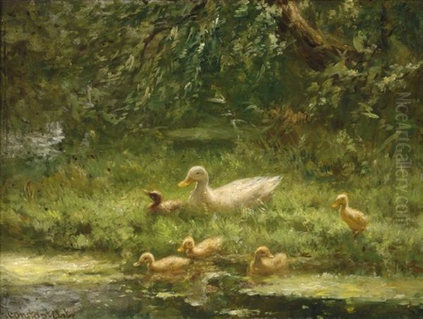 Ducks By The Water - view 1