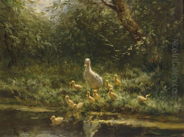 A Family Of Ducks - view 1
