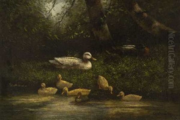 Entenfmailie Am Teich - view 1
