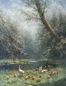 Ducks And Ducklings On A River Bank In Sunlight