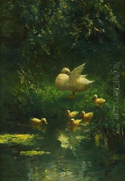Enten Am Teichufer - view 1