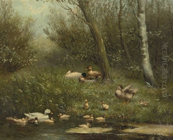 A Swim In The Pond - view 1