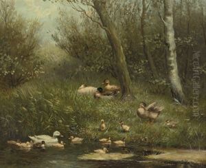A Swim In The Pond