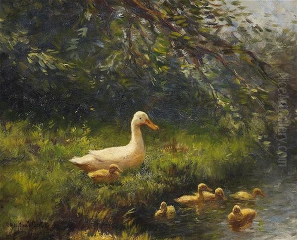 Enten Am Teichufer - view 1