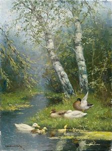 Enten An Einem Von Birken Gesaumten Bachlauf Enten An Einem Von Birken Gesaumten Bachlauf