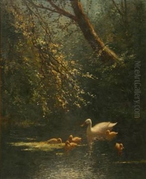 Ducks And Ducklings - view 1
