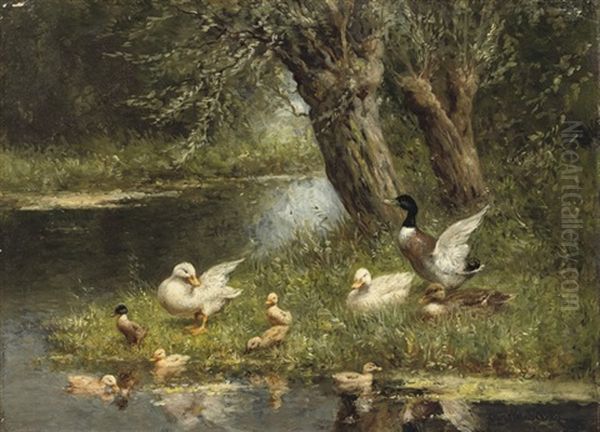 A Duck Family Near The Pond - view 1