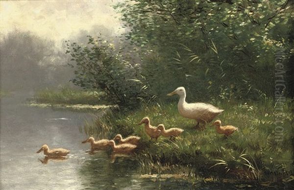 Mother Duck And Her Ducklings - view 1
