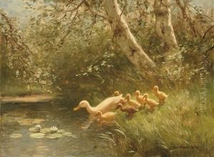 Mother Duck And Her Ducklings Mother Duck And Her Ducklings