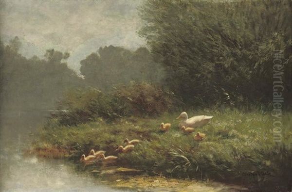 A Swim In The Pond - view 1