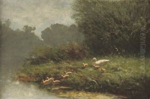 A Swim In The Pond A Swim In The Pond