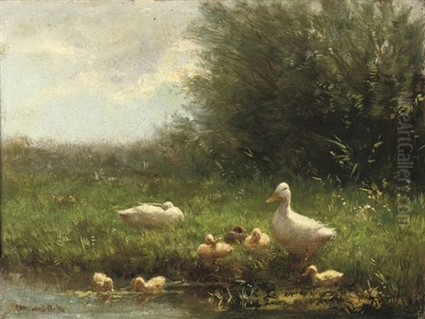 Ducklings On A Riverbank - view 1