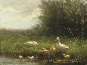 Ducklings On A Riverbank