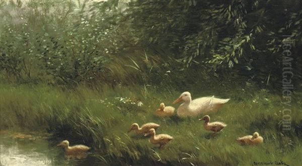 Mother Duck And Her Ducklings Near A Pond - view 1