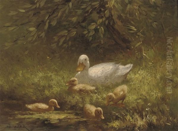 Mother Duck And Her Ducklings - view 1