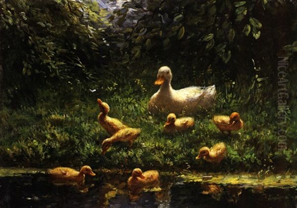 Weisse Ente Mit Nachwuchs Am Teich - view 1