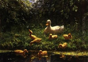 Weisse Ente Mit Nachwuchs Am Teich