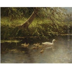 Ducklings On The Water