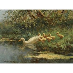 Ducks With Ducklings Near The Waterside