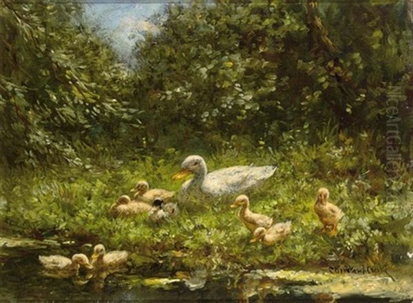 Ducks Near The Waterfront - view 1